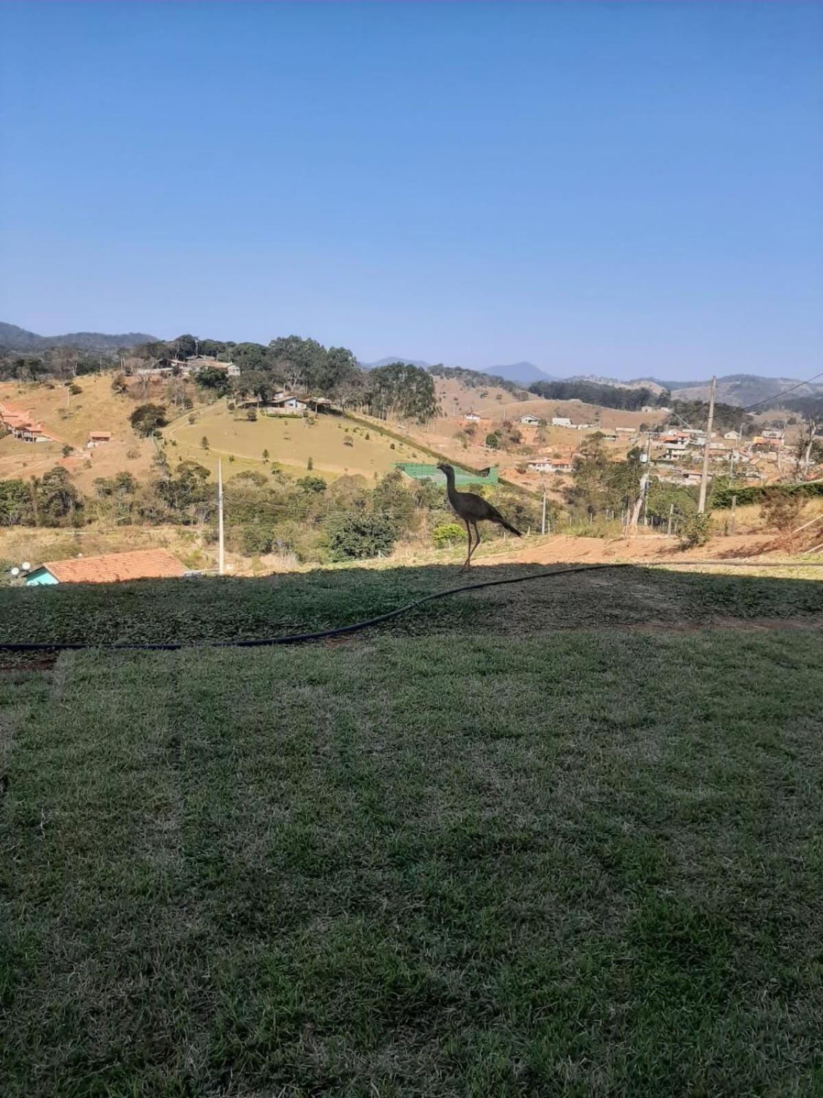 Recanto Alvorada - Casa De Campo Santo Antônio do Pinhal Esterno foto